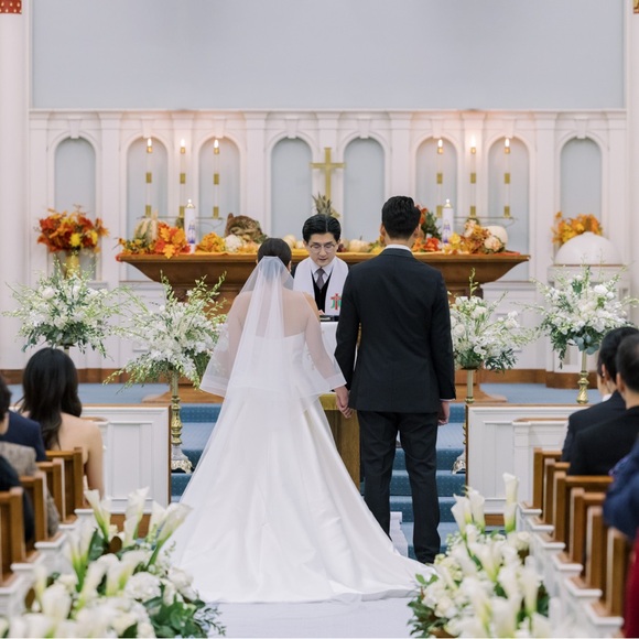 Elegant White Bridal Veil main image 8